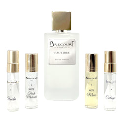 BRECOURT EAU LIBRE 100мл+(5мл absolu+5мл col+2*7мл парф.фільтри)